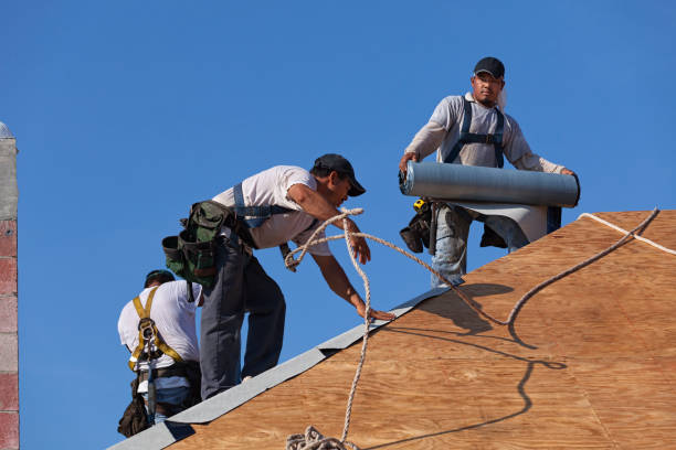 Best Roof Maintenance Services  in Orem, UT